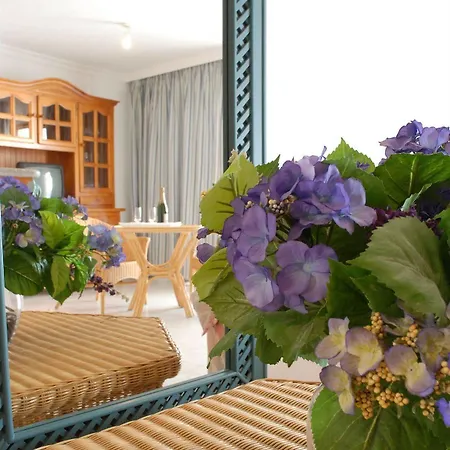 Playa Delphin Apartment *