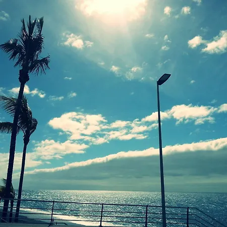 Playa Delphin * Puerto De Naos